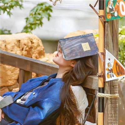 双面骗子虚假警察第一季