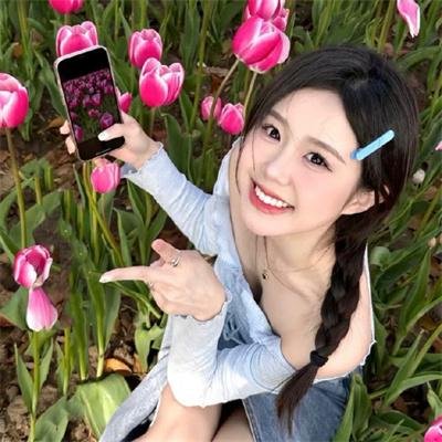 独家新闻的雏鸟